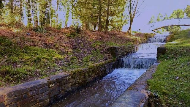 Mallard Pike Lake II смотреть онлайн