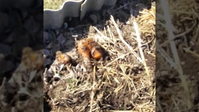 Как я сохранила марковь смотреть онлайн