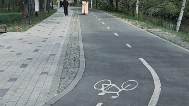 перевозчик 4