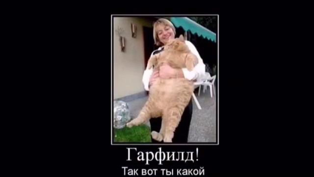 ПРИКОЛЬНЫЕ КАРТИНКИ смотреть онлайн