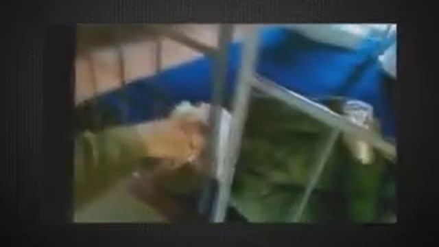 Русская армия приколы Супер приколы выпуск 67 смотреть онлайн