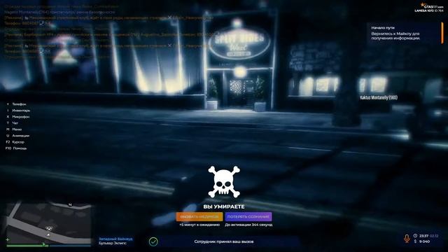 чайка угарает с того что его собрата Аригато убил камаз смотреть онлайн