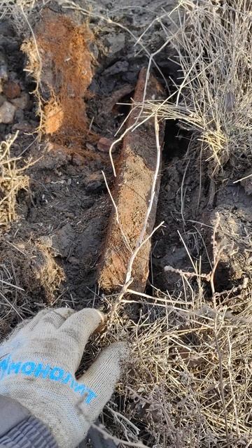 Выкопал толстенную плиту из металла