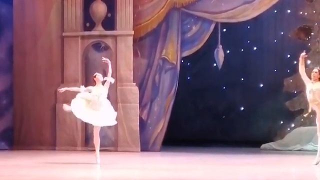 Ксения Овчинникова и Педро Сеара, кода, 