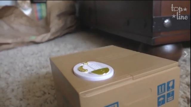 Лучшие приколы #1. Июльский заряд позитива от topline. смотреть онлайн