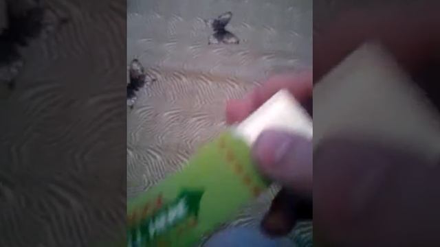 (Обзор) жвачка шокер смотреть онлайн