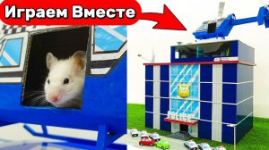 Лабиринт для Хомяка 🐹👮 Приключения Умного Хомяка: полицейский квест в сложном лабиринте 🐹👮