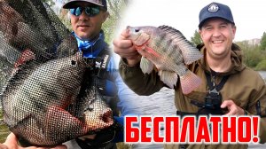 САМАЯ НЕОБЫЧНАЯ РЫБА РОССИИ! Встреча с Зайем! Новый прицеп для лодки! Ловля тиляпии на спиннинг