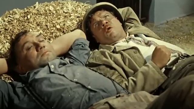 Работа не волк, в ле Нет, это не надо Приключения Шурика смотреть онлайн