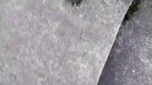 Упал с высоты и сломал ногу😱