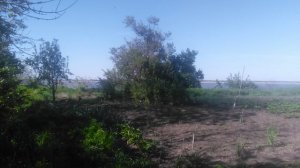 VID_20250428_161131.mp4