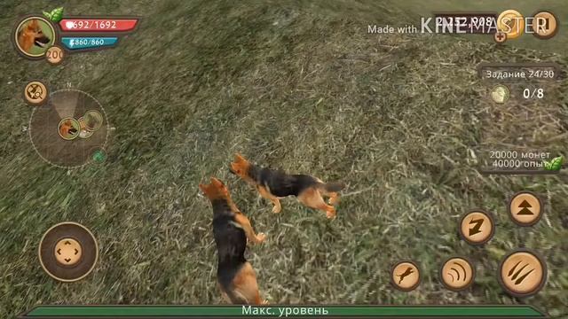 Клип на песню:Верните в моду любовь! В Dog Sim смотреть онлайн