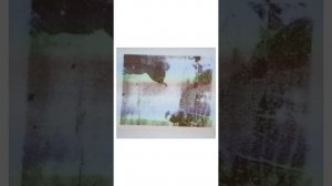 ТЕСТ на ШИЗОФРЕНИЮ