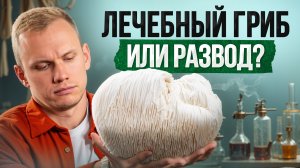 НЕ покупай ежевик гребенчатый, пока не посмотришь это видео!