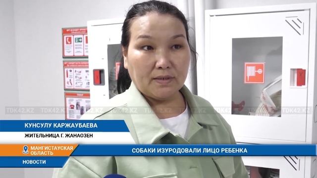 СОБАКИ ИЗУРОДОВАЛИ ЛИЦО РЕБЕНКА смотреть онлайн