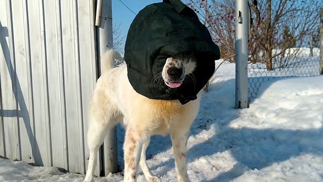 Земля в иллюминаторе #землявиллюминаторе смотреть онлайн