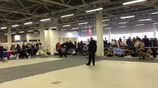 17.01.2016, Питерский бомонд, моно, бест больших смотреть онлайн