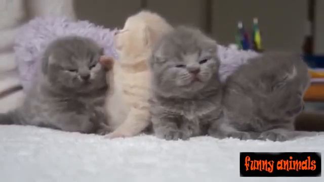 КАТЯТА ПРИКОЛЫ #2