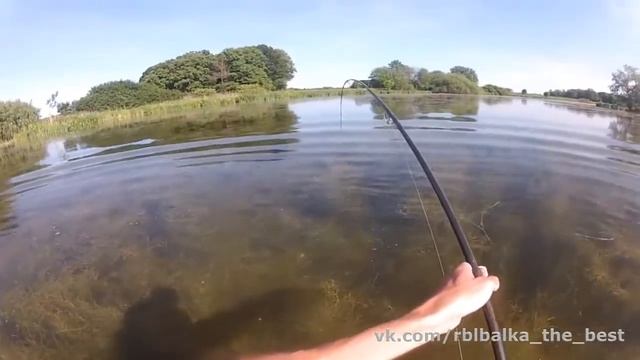Вот это карп !!! Хочу туда на рыбалку !!! смотреть онлайн