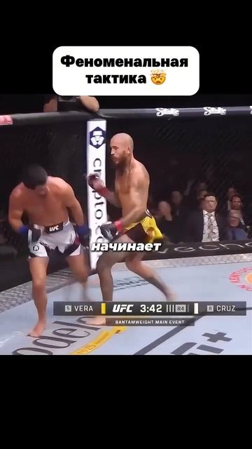 Чито ловит Круза #мма #mma #попмма смотреть онлайн