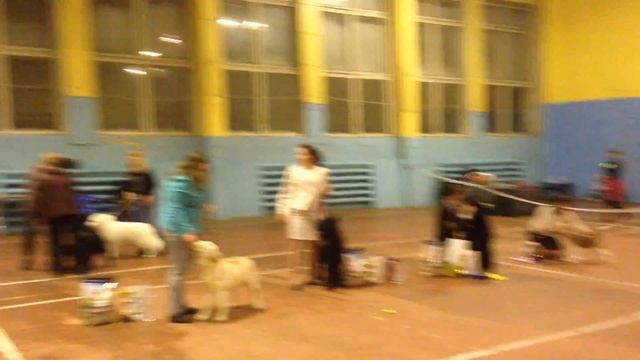 Юниорский БЕСТ смотреть онлайн