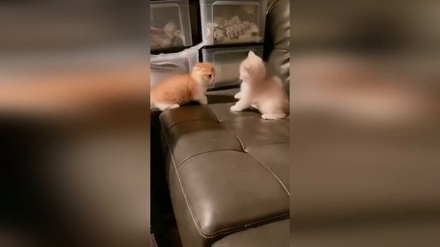 BEST CUBE#45 - 🤣Смешные видео - Лучшие ПРИКОЛЫ смотреть онлайн