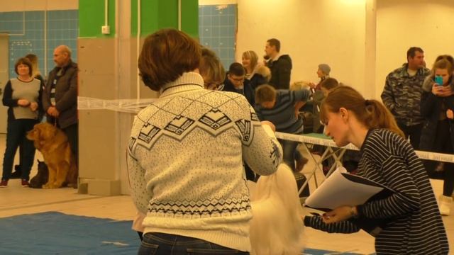 ИРИНБУРГ СЕНСАЦИОННАЯ НАХОДКА смотреть онлайн