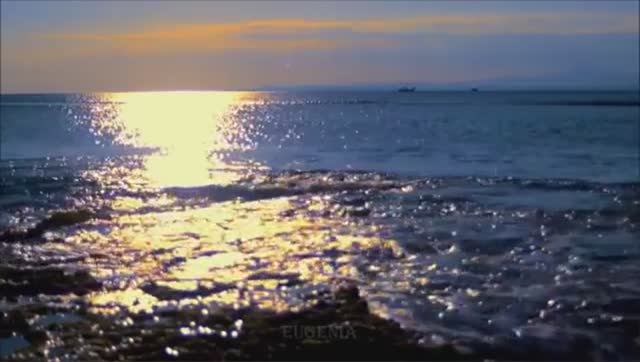 Крутое сочетания природа, музыка и саксофон смотреть онлайн