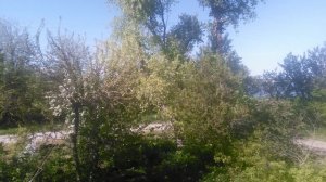 VID_20250428_155553.mp4