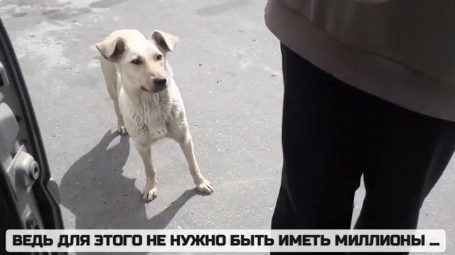 Для этого вовсе не нужно иметь миллионы...🙏 смотреть онлайн