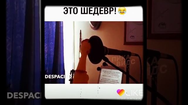 Despacito в исполнении резиновой курицы😹 смотреть онлайн