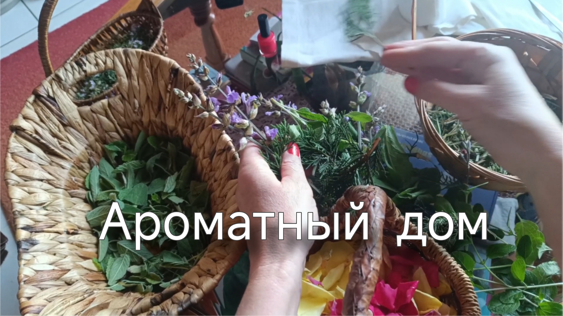 Чтобы хорошо пахло. Что наросло в саду. Швейная машинка и конечно камера #cococam смотреть онлайн