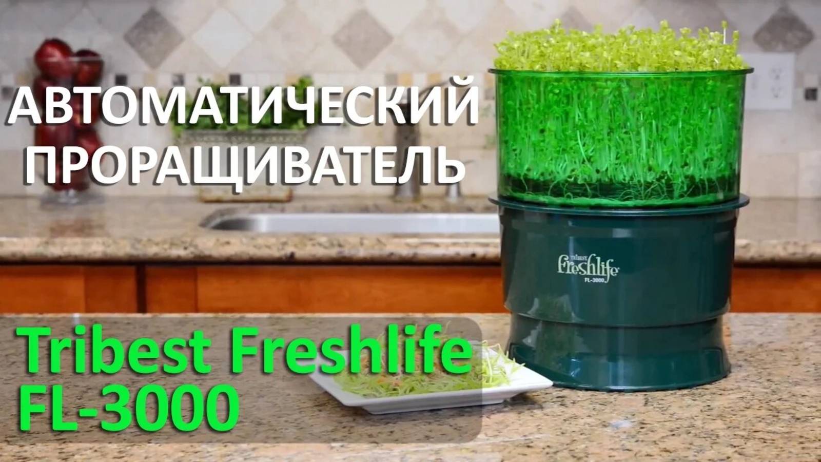 Автоматический проращиватель Tribest Freshlife 3000. Как он работает? смотреть онлайн