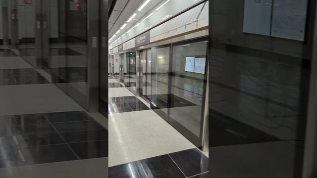 Станция метро в Сингапуре на заливе. Куда пропали все люди? смотреть онлайн