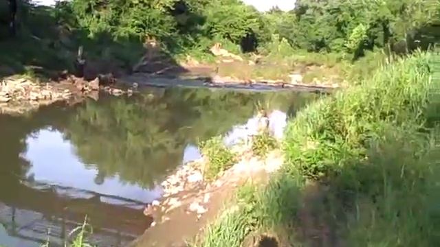 Fishin' Buddies смотреть онлайн