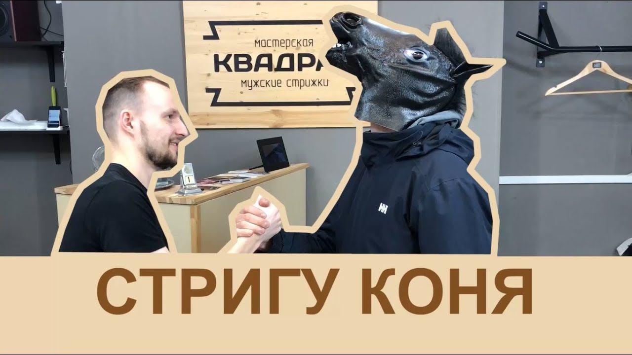 КОНЬ В БАРБЕРШОПЕ