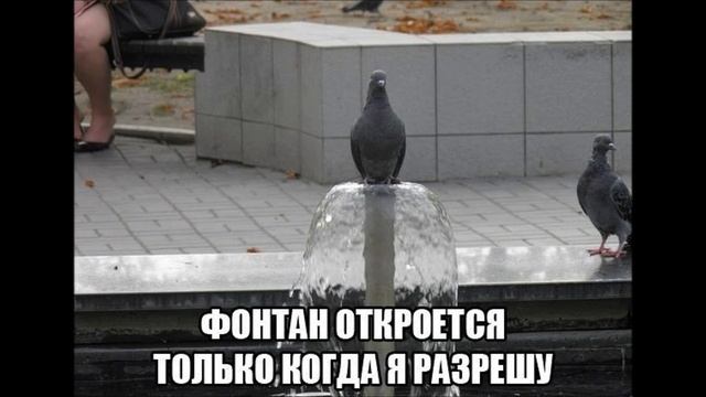 Гулюшки с приколами смотреть онлайн