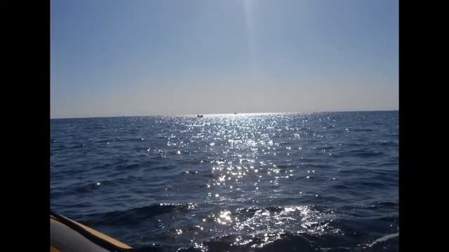 Le Avventure di Spider Ugo Pork (immersione a Porto Cesareo) смотреть онлайн
