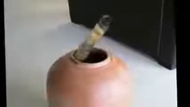 Разные крутые приколы! смотреть онлайн