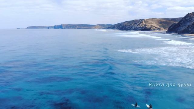 Зашли в дом и то что увидели на полу повергло в ШОК смотреть онлайн