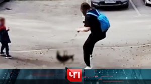 «ЧП»: 28 апреля 2025 года | «Чрезвычайное происшествие» на НТВ