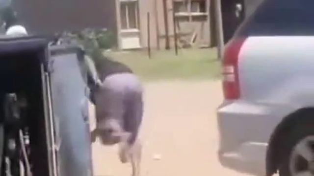 прикольнулся смотреть онлайн