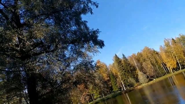Продолжение обзора на стрим Лены Хеппи."Графиня" разошлась не на шутку. смотреть онлайн