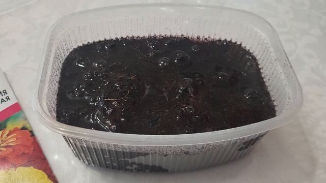 СЕЮ ЦИНИЮ ТОЛЬКО ТАК! ВСХОДЫ 💯! смотреть онлайн