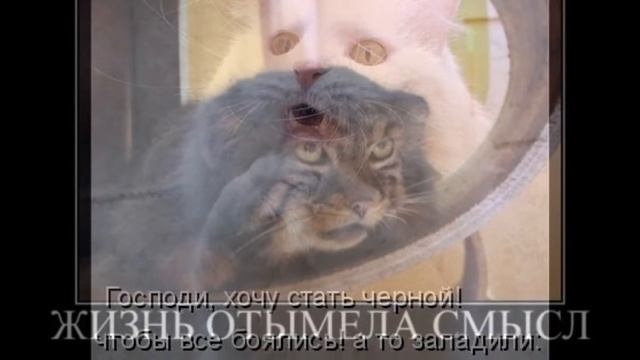 Улыбнитесь смотреть онлайн