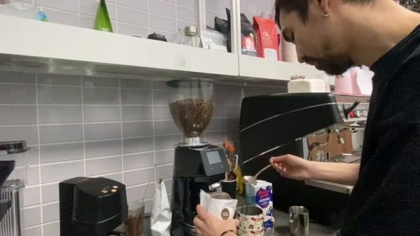 Заготовка какао