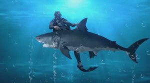 Как выглядит гигантская акула, опасные акулы для человека.