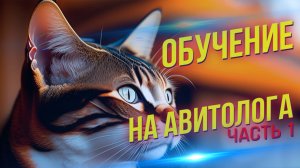 Хочу стать авитологом! С чего начать и где учиться? ЧАСТЬ 1