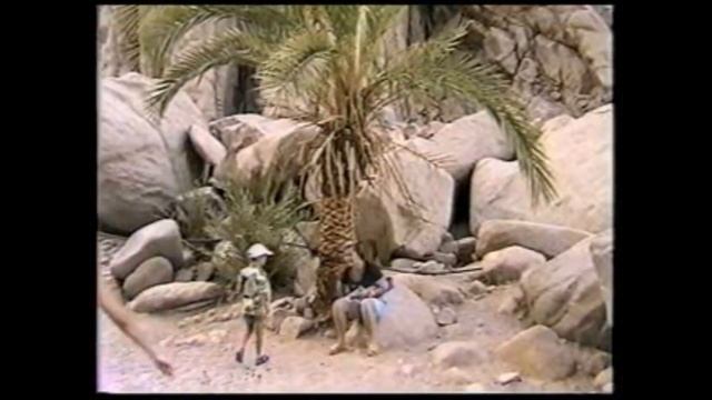 Египет 2003 год смотреть онлайн