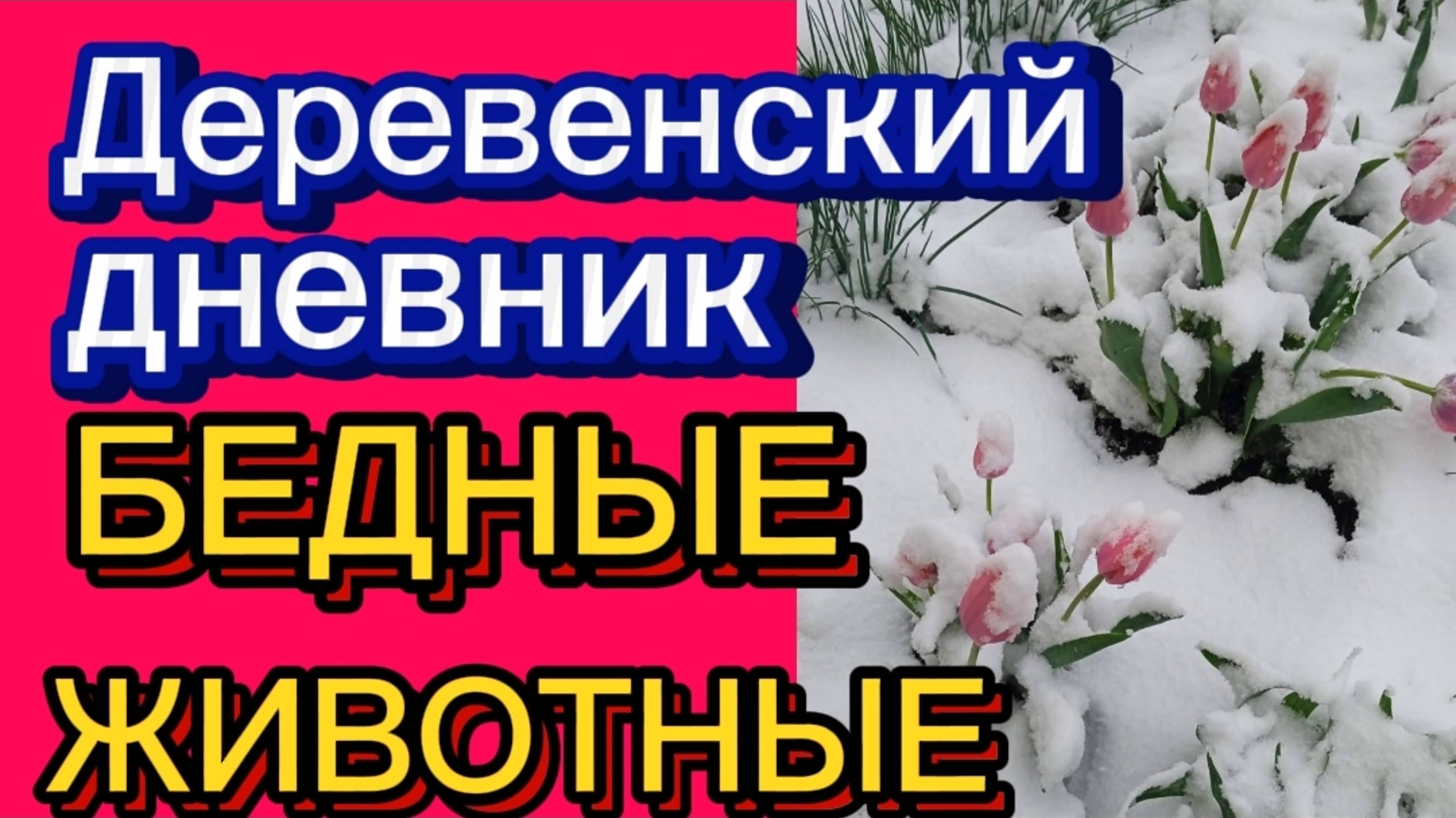 Деревенский дневник. "Горе-фермер". смотреть онлайн